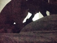 xa kho anh nyc nha nang may qua