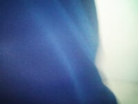 bé thanh nguyên k9 miền tây