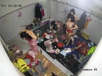 Hack camera động bàn tơ hàng khủng