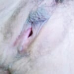 Em người yêu cũ phần 2