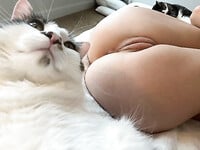 Ảnh bừa tôi lụm đc