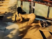 Những em hàng tươi ngon