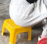 Bưởi Beo Lai 2008