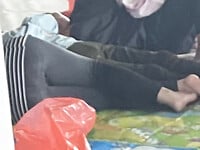 Bưởi Beo Lai 2008