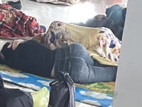 Bưởi Beo Lai 2k8 @@@