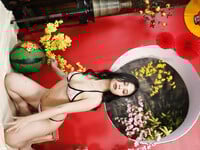 GIRL NUDE 32 ( Happy New Year)