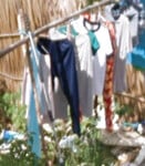 Săn quần lót nữ bằng ggmap p1