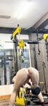 Lột đồ các e gymer
