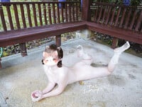 Album public loli iDaguiiii