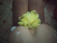 Thu Huyền show bướm