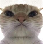 Hồng hài nhi đâyy