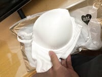 Con bồ nứng lồn