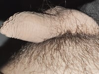 Cu bé nhưng mê show