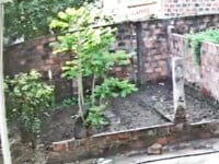 Thấy được lồn mẹ vợ trong lúc quay lén, đã cái lồn