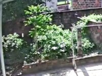 Thấy được lồn mẹ vợ trong lúc quay lén, đã cái lồn