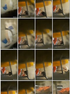 Ai có clip e này cho mình xin với