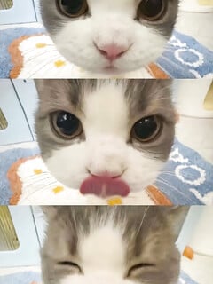 làm quen hong tớ cũng dâm nè