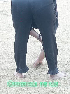 Tổng hợp đã thấy lồn