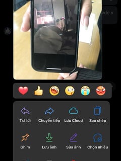 Hoàng Lam K9 Quảng Ninh