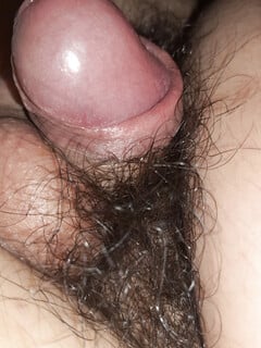 Cunhỏcặcnhỏchimnhỏchimbécubédươngvậtnhỏ sục