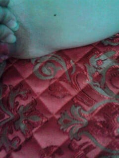 Em Ngọc Liên Sn91 Bồn Chứa Tinh Trùng