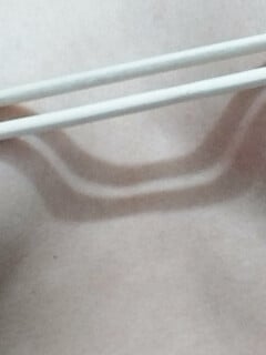 Bé slv 2 được huấn luyện