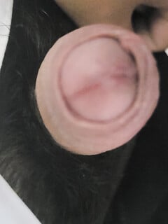 Chym nhỏ lắm lông