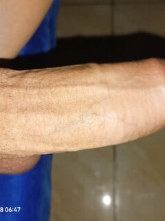 Sục cu không lông