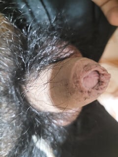 Lên tiếp cho mn nha