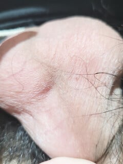 Ai muốn bóp ko🤣