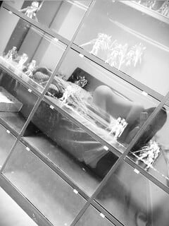 NC muốn được doggy